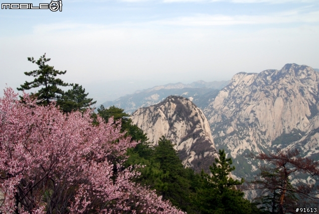 [分享]世界八大遺產之一,兵馬俑,華山,西安自由行 4/13~4/20