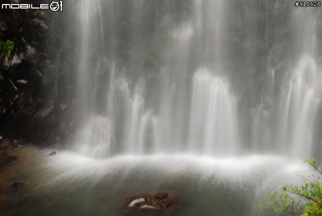 D80+Sigma 17-70mm F2.8-4.5習拍