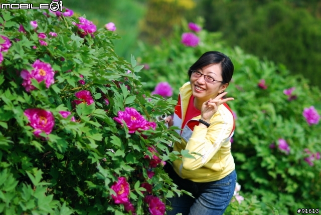 [分享]世界八大遺產之一,兵馬俑,華山,西安自由行 4/13~4/20