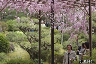京都奈良之旅