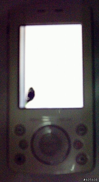 我的T600發生悲劇(附圖)