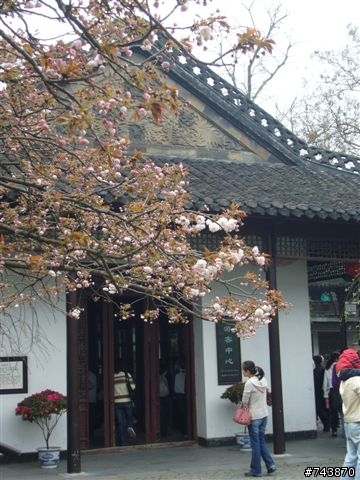 煙花三月下揚州 474Km