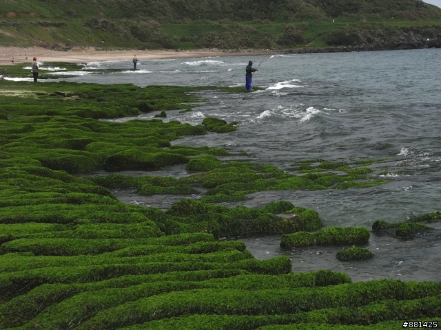 4月27日老梅石槽