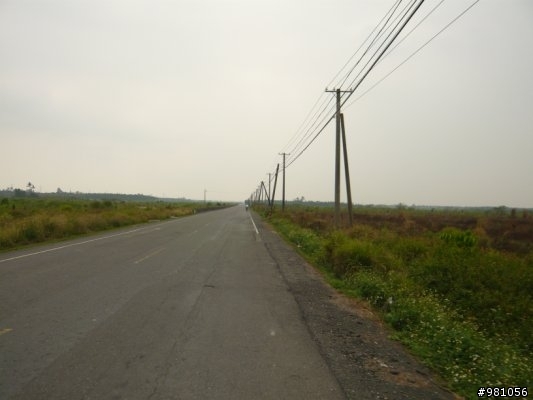 6隻肉腳的最初試煉-高屏102km