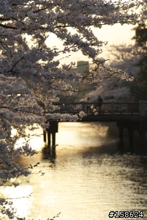 京都奈良之旅