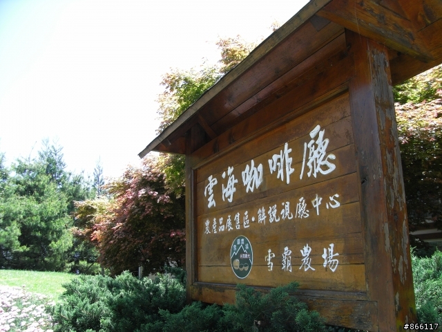 ★遊記分享★羅馬公路→大鹿林道二日遊