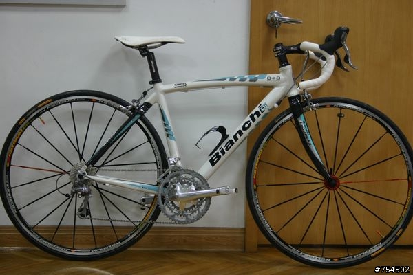 River的白色BIANCHI