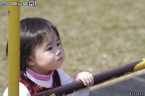 350D 配 17-40 F4 的色調