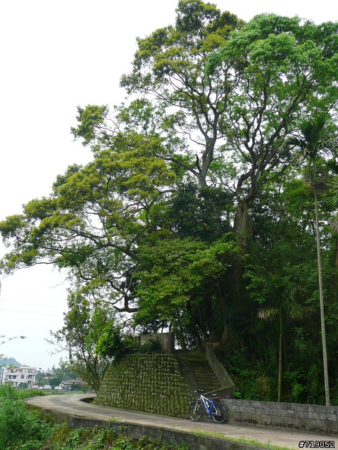 苗栗南庄向天湖仙山單日百里行