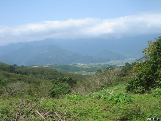 踏板下的花東 之旅