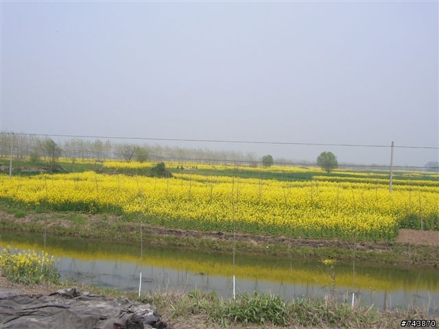 煙花三月下揚州 474Km
