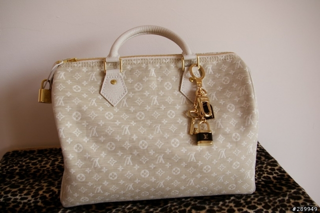[分享] Louis Vuitton Speed30 棉麻帆布包