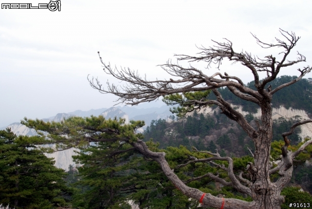[分享]世界八大遺產之一,兵馬俑,華山,西安自由行 4/13~4/20