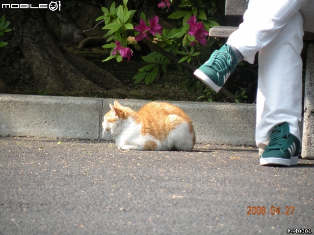 [開箱] Nikon Coolpix P80 及分享照