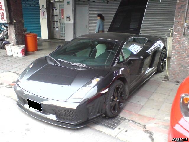 二隻在休息的小牛跟小馬