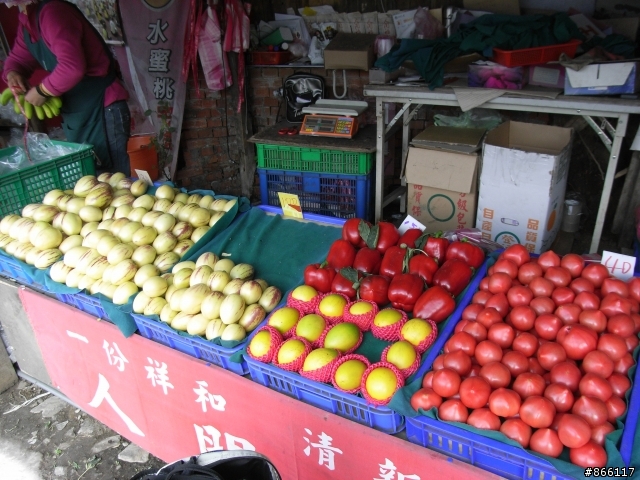 ★遊記分享★羅馬公路→大鹿林道二日遊