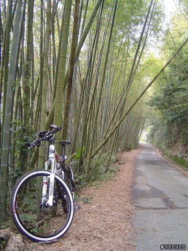 【集集大山】達陣簽到摟！