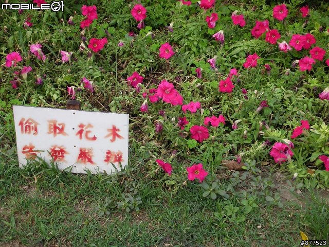 [分享]安心上路之機車環島(圖多請小心..補上總住宿費.路線