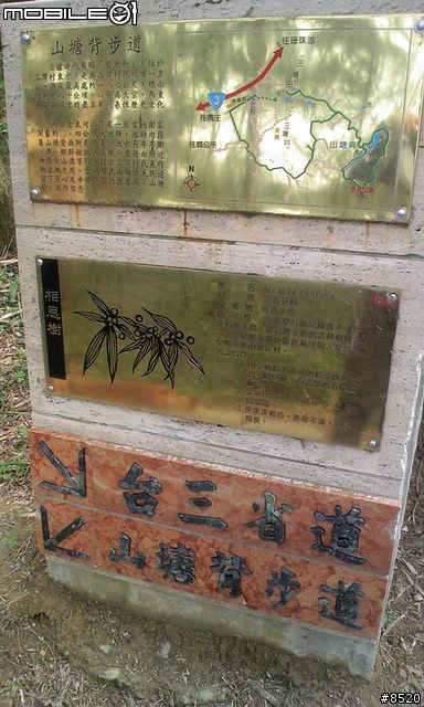 [分享]912T實拍