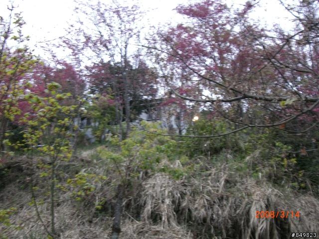 [遊記]03/11~03/15 南橫單車旅行  (新增圖文分享)