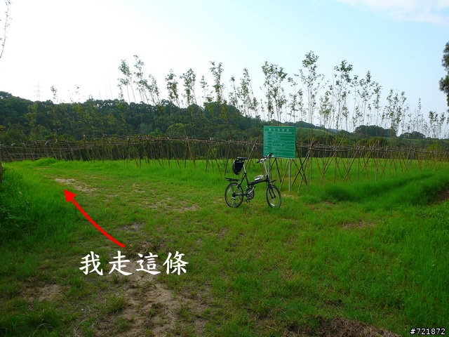另一個青青草原探險記之-野豬大冒險