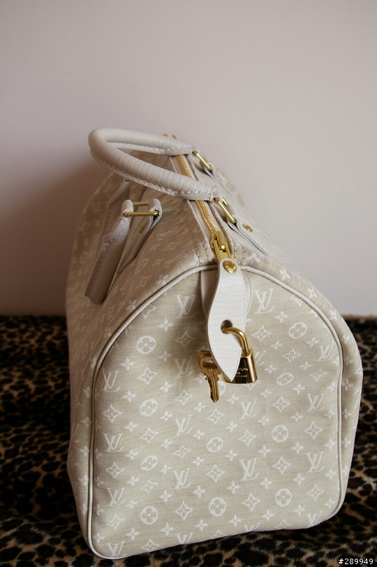 [分享] Louis Vuitton Speed30 棉麻帆布包