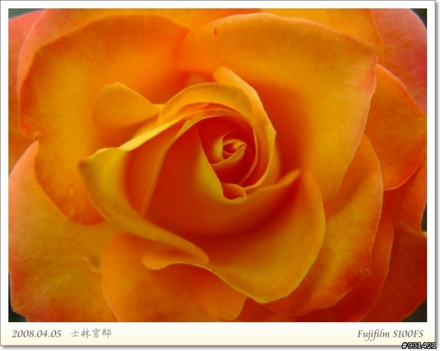 Fujifilm S100FS 花卉試拍