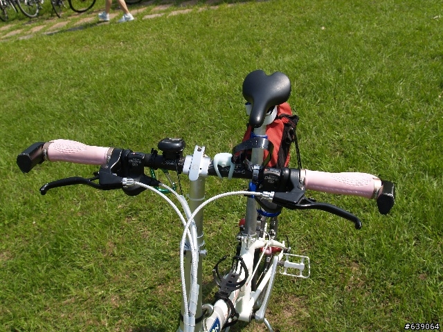 Dahon Speed D"9" 小小白進化版 圖片分享