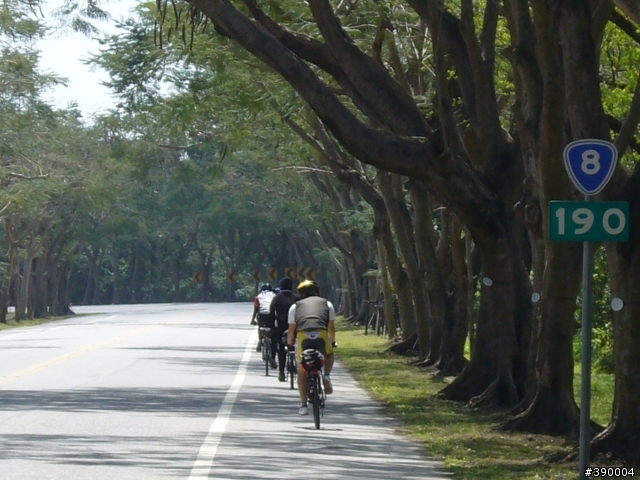 中橫+花東海岸+玉長公路+南橫