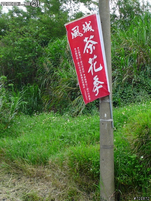 另一個青青草原探險記之-野豬大冒險