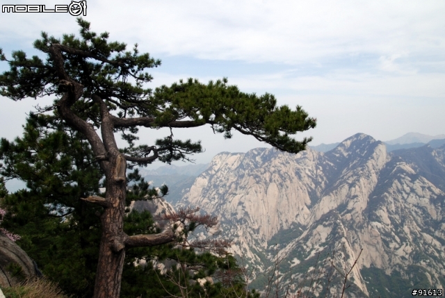 [分享]世界八大遺產之一,兵馬俑,華山,西安自由行 4/13~4/20