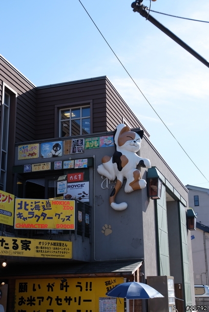 S5PRO @ Hokkaido~~