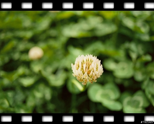 FM3A +ZF 25mm/f2.8 新手試貼.分享照片
