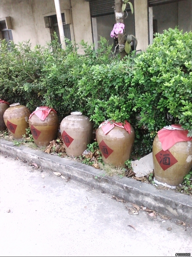 官田：隆田酒廠(滷雞爪超級好吃~)