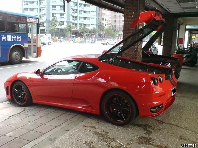 二隻在休息的小牛跟小馬