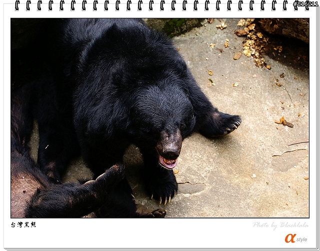 [開箱文]Sony 70-200mm F2.8G SSM (4/13補上 Sony Fair '08 人像照)