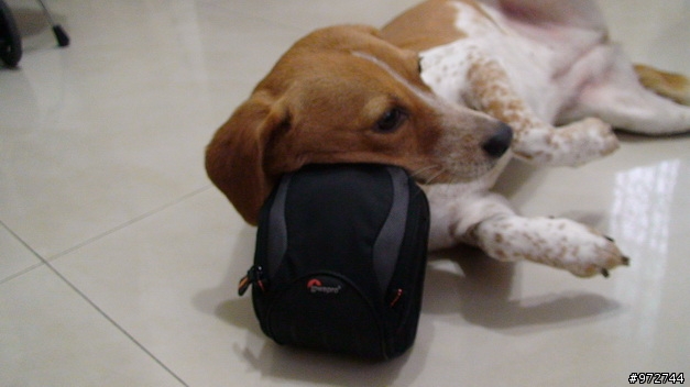 Canon G9與Lowepro Apex 60 Aw相機包