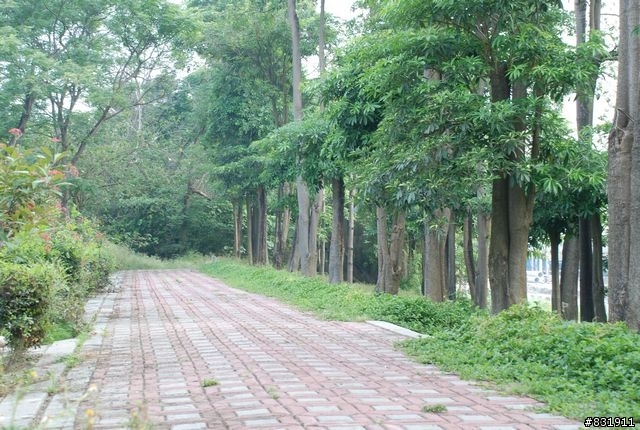 高屏溪自行車路線(照片)--高屏舊鐵橋至雙園大橋段(高雄) / 高屏大橋至雙園大橋段(屏東)
