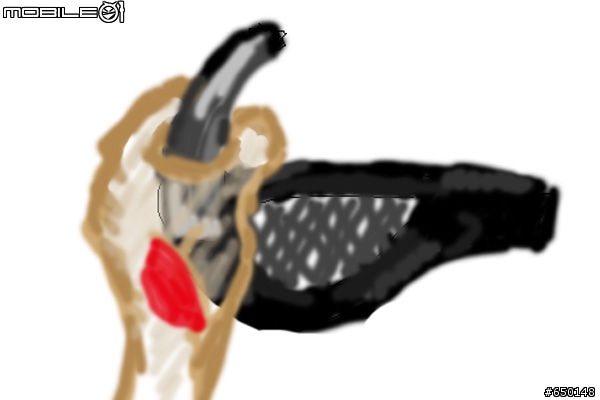 [問題]關於牛角的類型與握法的問題