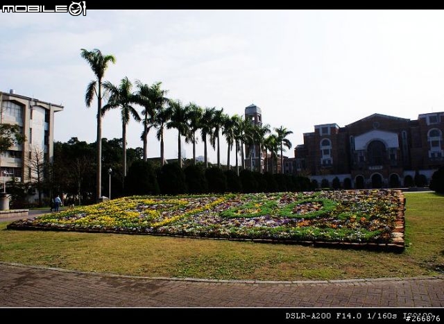 [04/14更新實拍照]A200 + Sigma 70-300mm = 窮人新手好物!