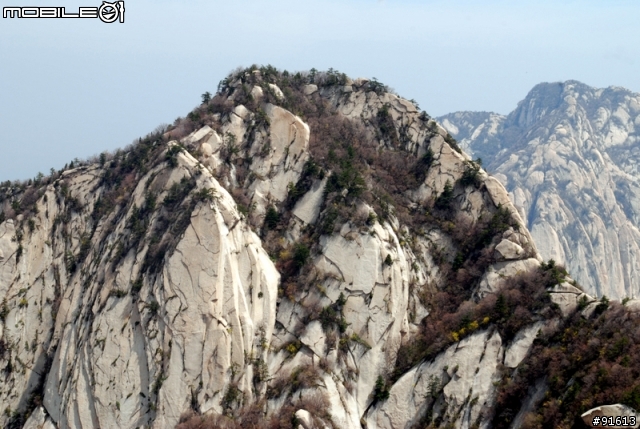 [分享]世界八大遺產之一,兵馬俑,華山,西安自由行 4/13~4/20