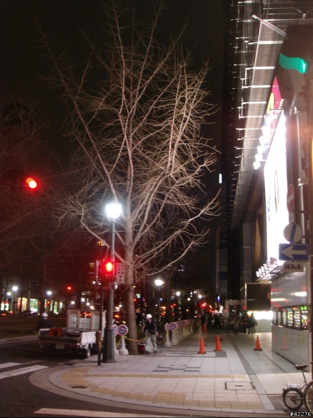 [分享]6天5夜日本大阪、神戶、京都、櫻花、美食、雪拼之旅(圖文多，並有記載清楚路線)