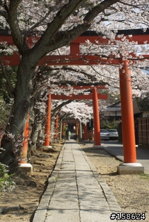 京都奈良之旅