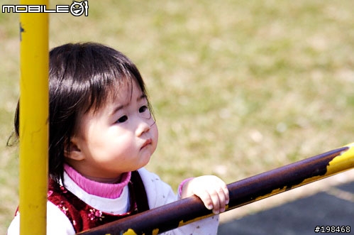 350D 配 17-40 F4 的色調