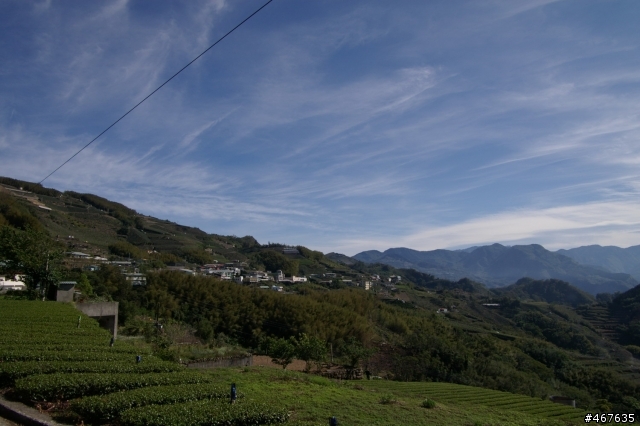 [遊記]4-6 肉腳挑戰阿里山之旅