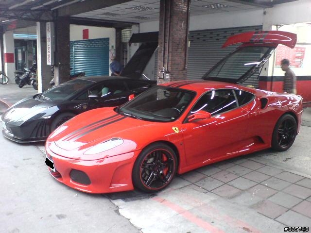 二隻在休息的小牛跟小馬