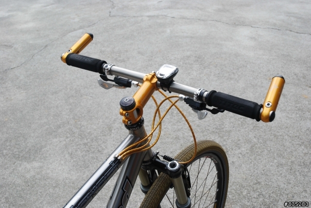 [分享]Litespeed TANASI鈦合金登山車