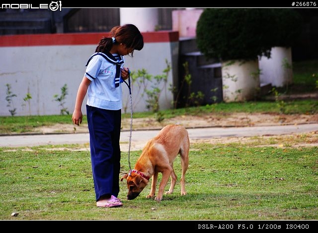 [04/14更新實拍照]A200 + Sigma 70-300mm = 窮人新手好物!