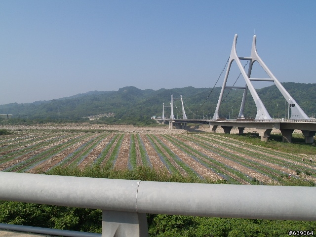2008苗栗縣 客家桐花季 - 挑戰72號快速道路