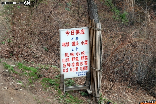 [分享]世界八大遺產之一,兵馬俑,華山,西安自由行 4/13~4/20
